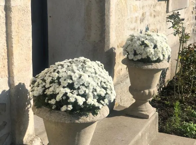 Guest house La Belle Epoque - D'hotes & Damvix