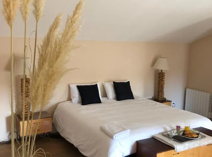 La Belle Epoque - D'hôtes&spa