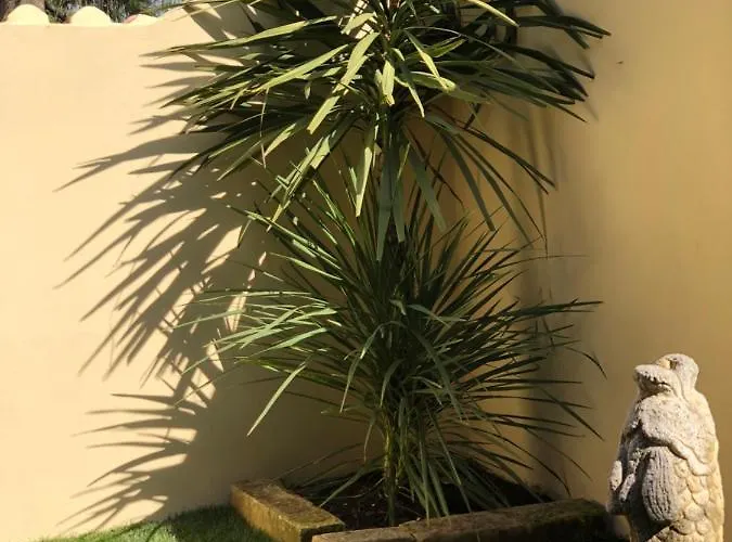 La Belle Epoque - D'hotes & Guest house Damvix