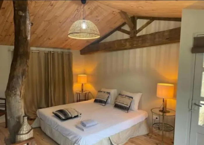 La Belle Epoque - D'hôtes&spa Damvix